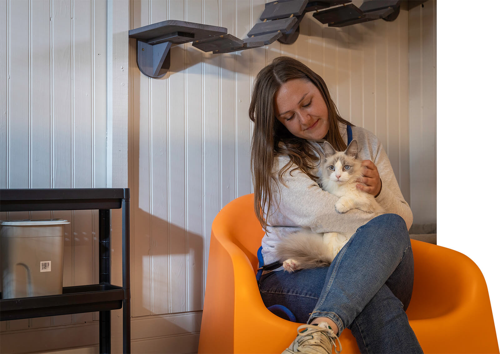 Hébergement chat malice et pomme suites